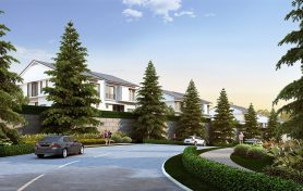 shang-garden