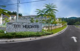 tmn-titi-height_04